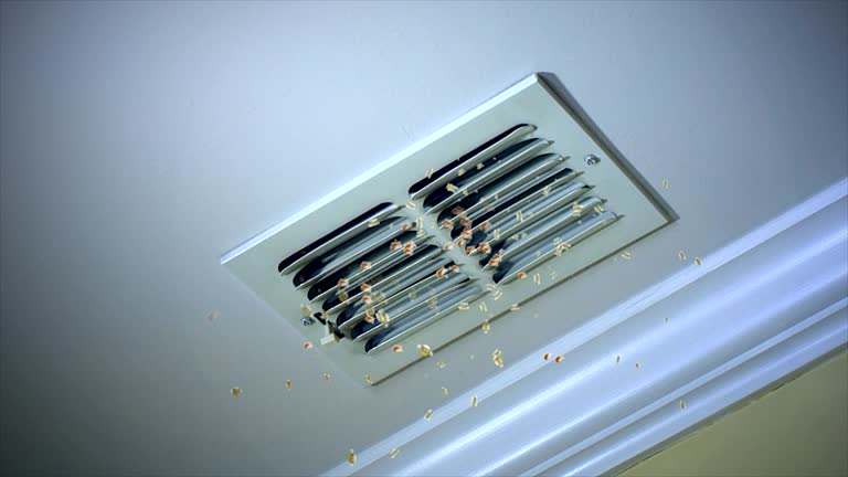 Best Best Air Duct Cleaning Company  in , GA